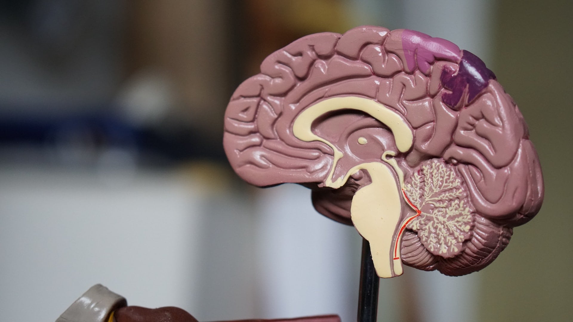 human brain symbol of THIQ